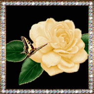 Impedecewe