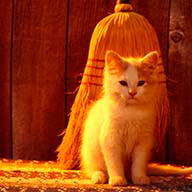 Satina