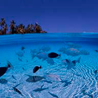 NoetCrp