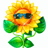 Solar