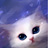 Nancycat