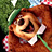 Alexand